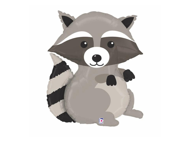 balony z helem sosnica