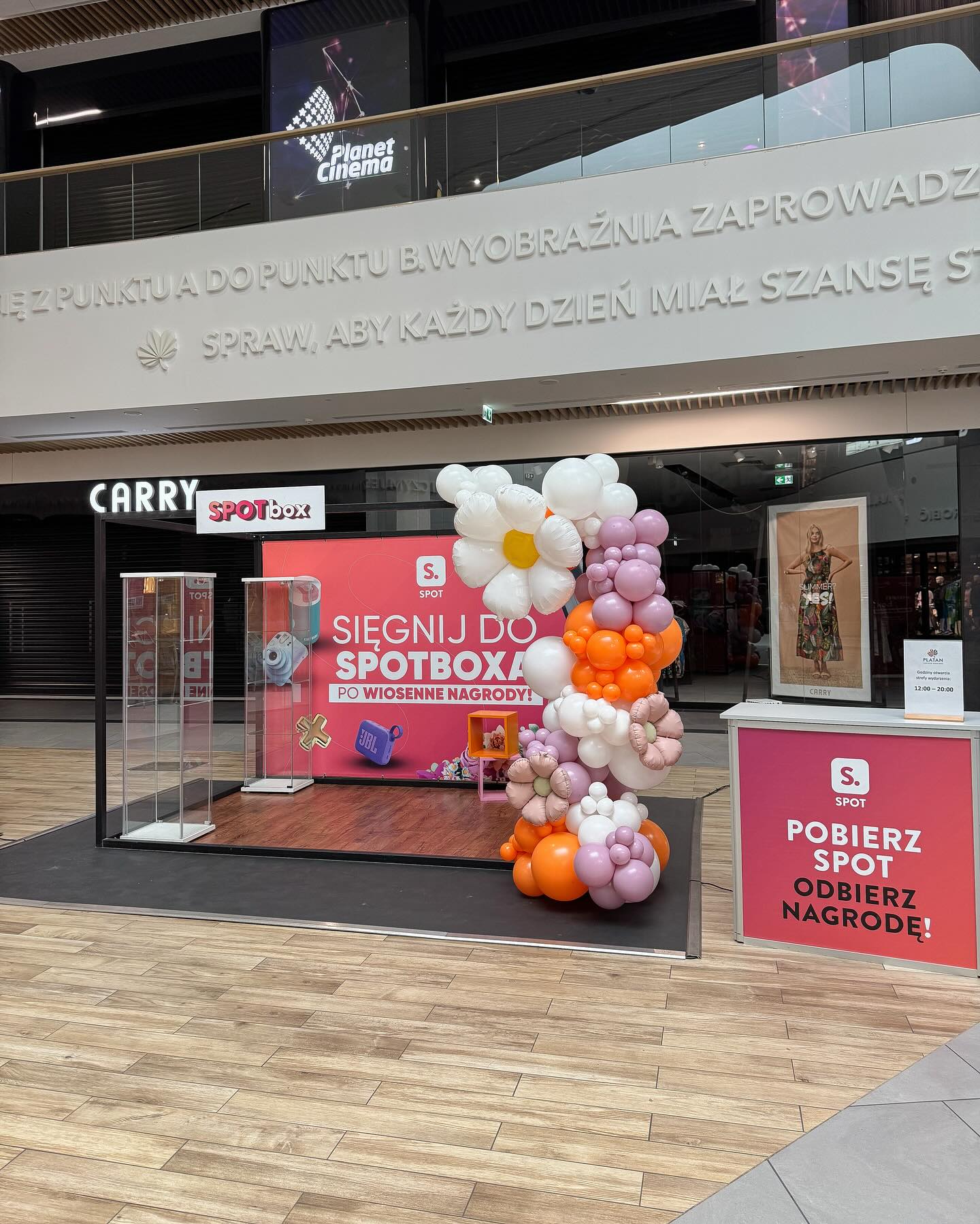 dekoracja balonowa platan