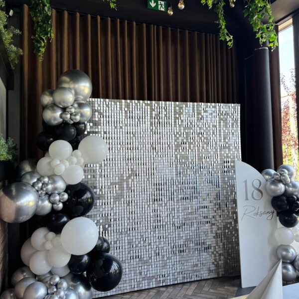 Ścianka cekinowa srebrna do zdjec (3)